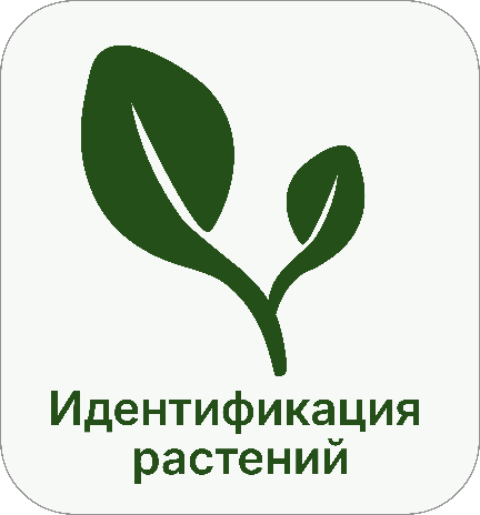 Контрактные исследования